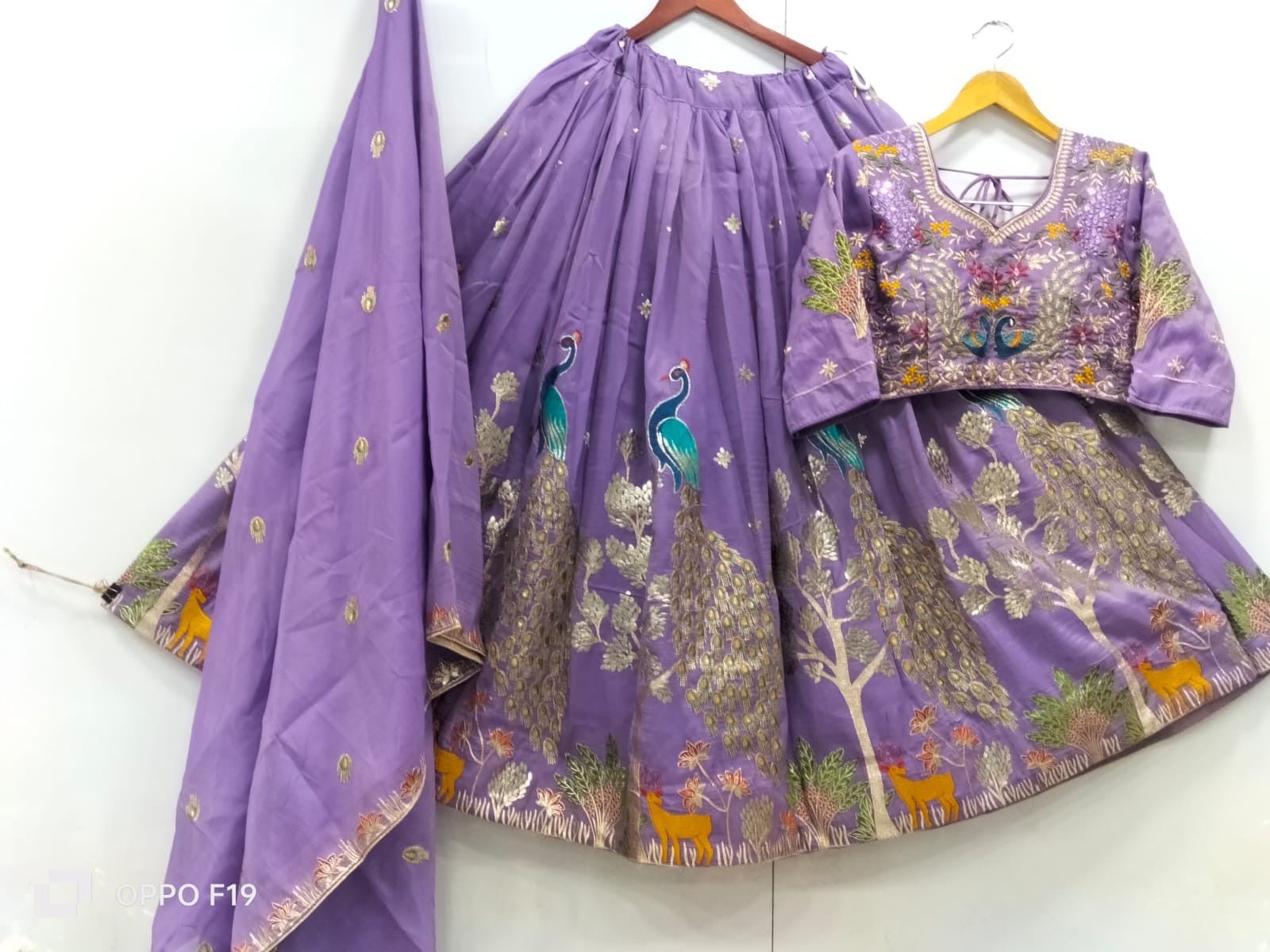Tissue Lehnga peacock designs