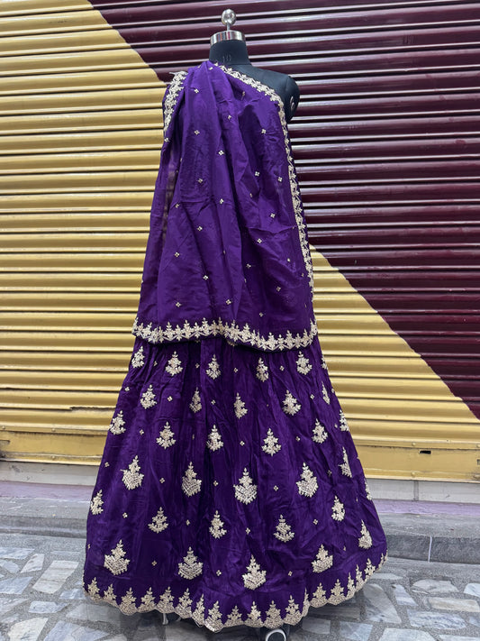 Hawamahal gottapatti lehnga set