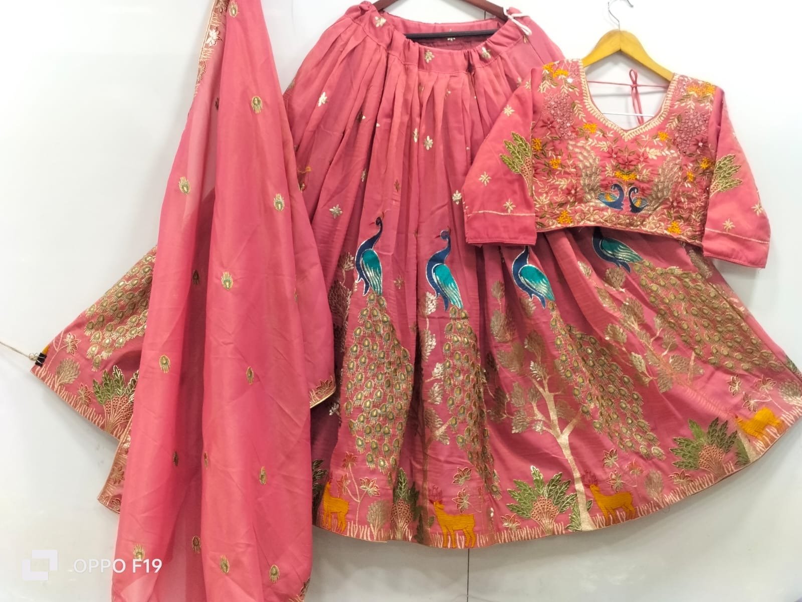 Tissue Lehnga peacock designs