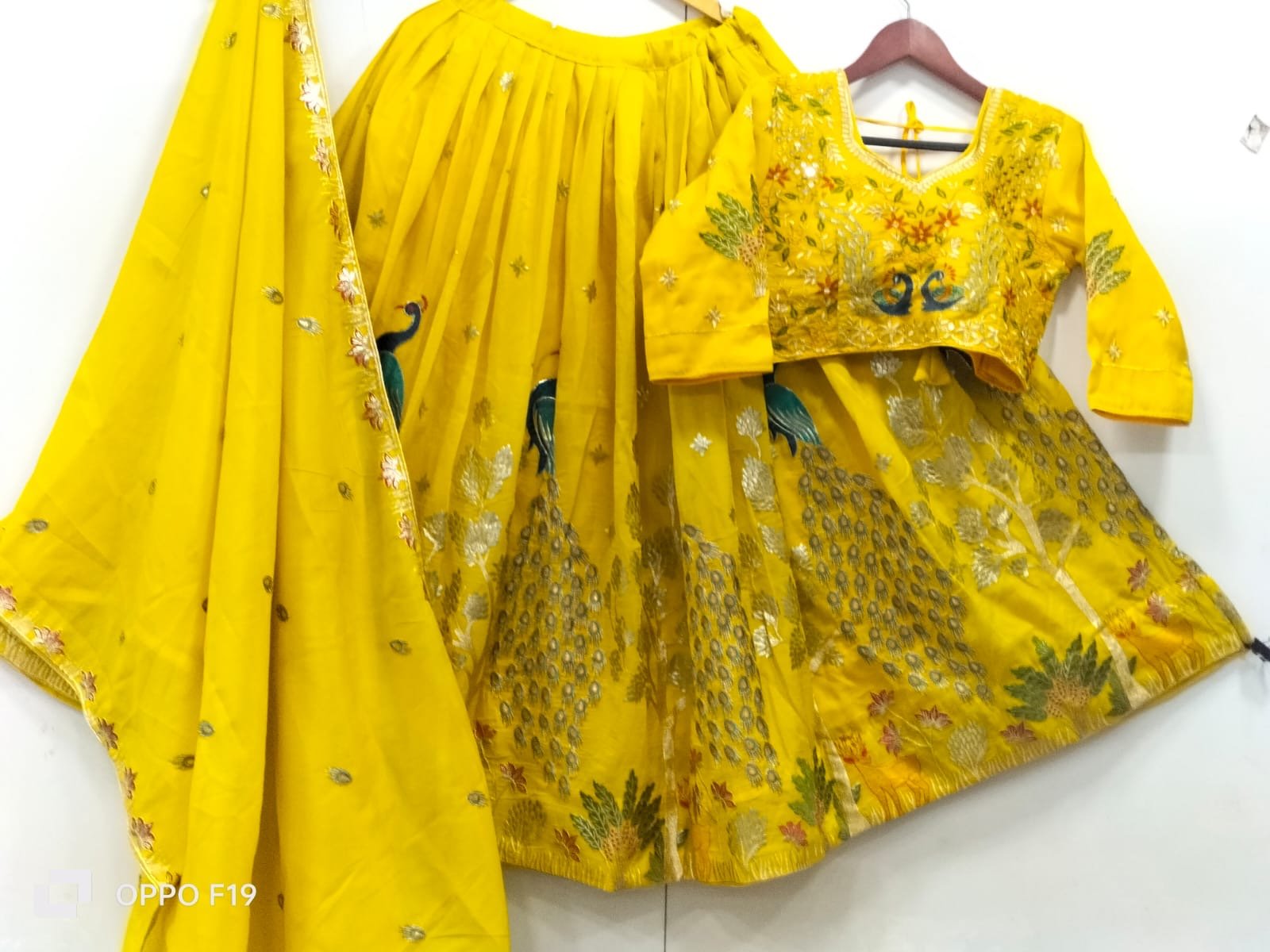 Tissue Lehnga peacock designs